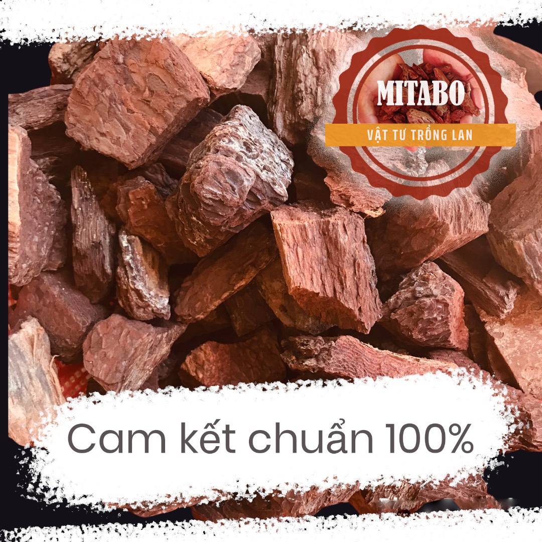 Vỏ thông băm 3-4cm