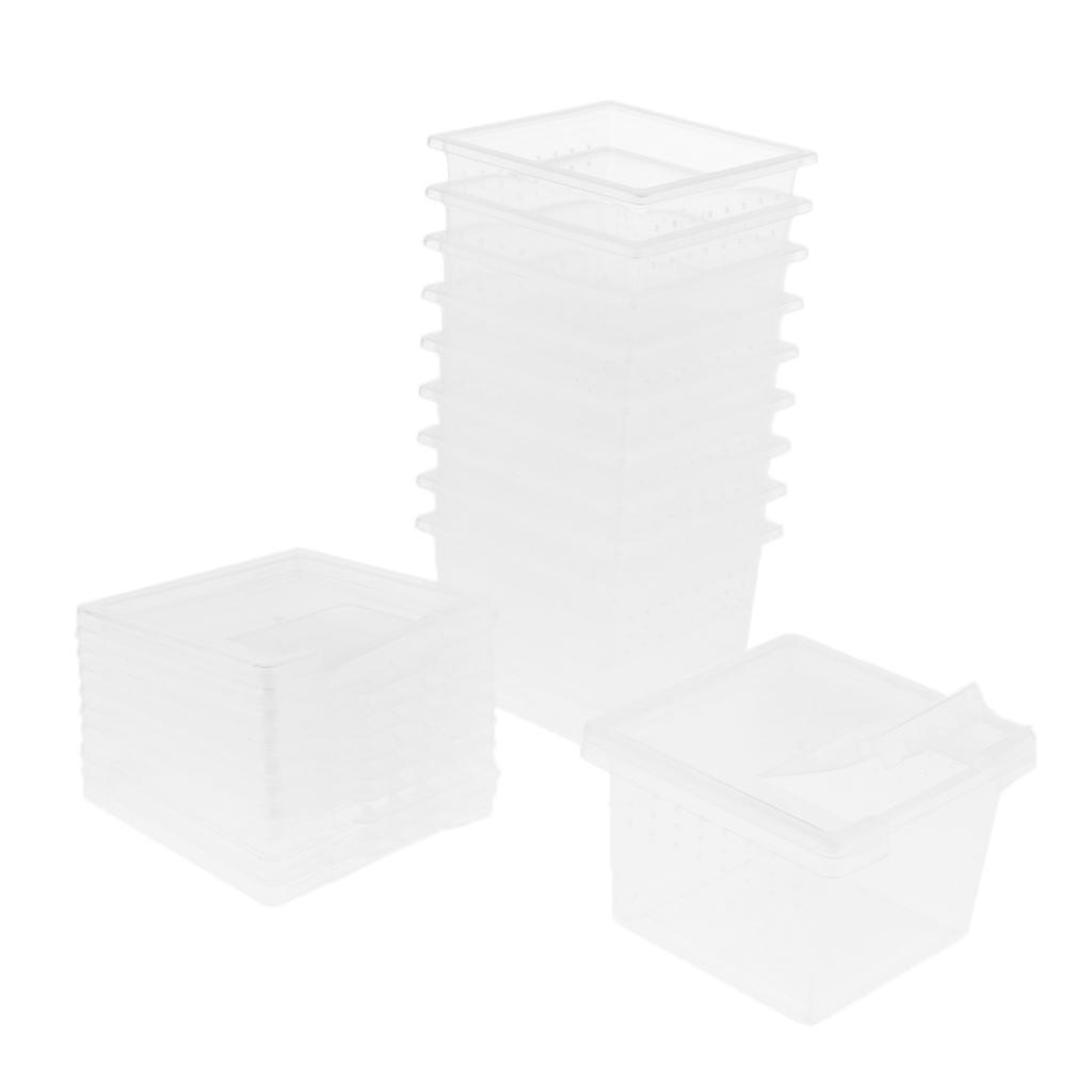 Set of 40 Clear Reptile Spider Lizard Scorpion Breeding Box Container Cage