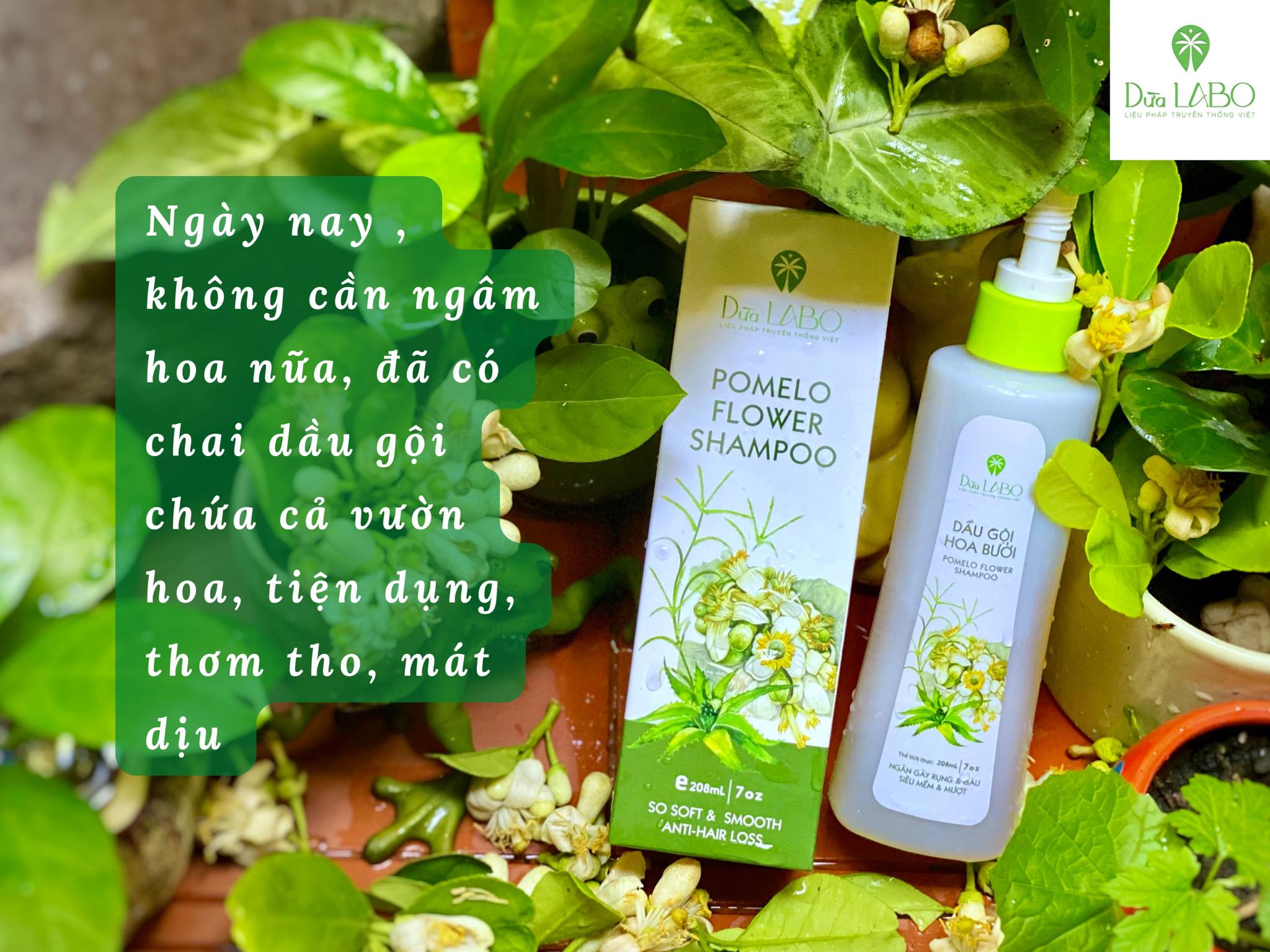 Combo Dầu gội + Xịt dưỡng Hoa Bưởi Dừa LaBo 100% thiên nhiên ngăn rụng tóc, sạch gàu, kích tóc mới &amp; mềm mượt &amp; vấn vương hoa bưởi