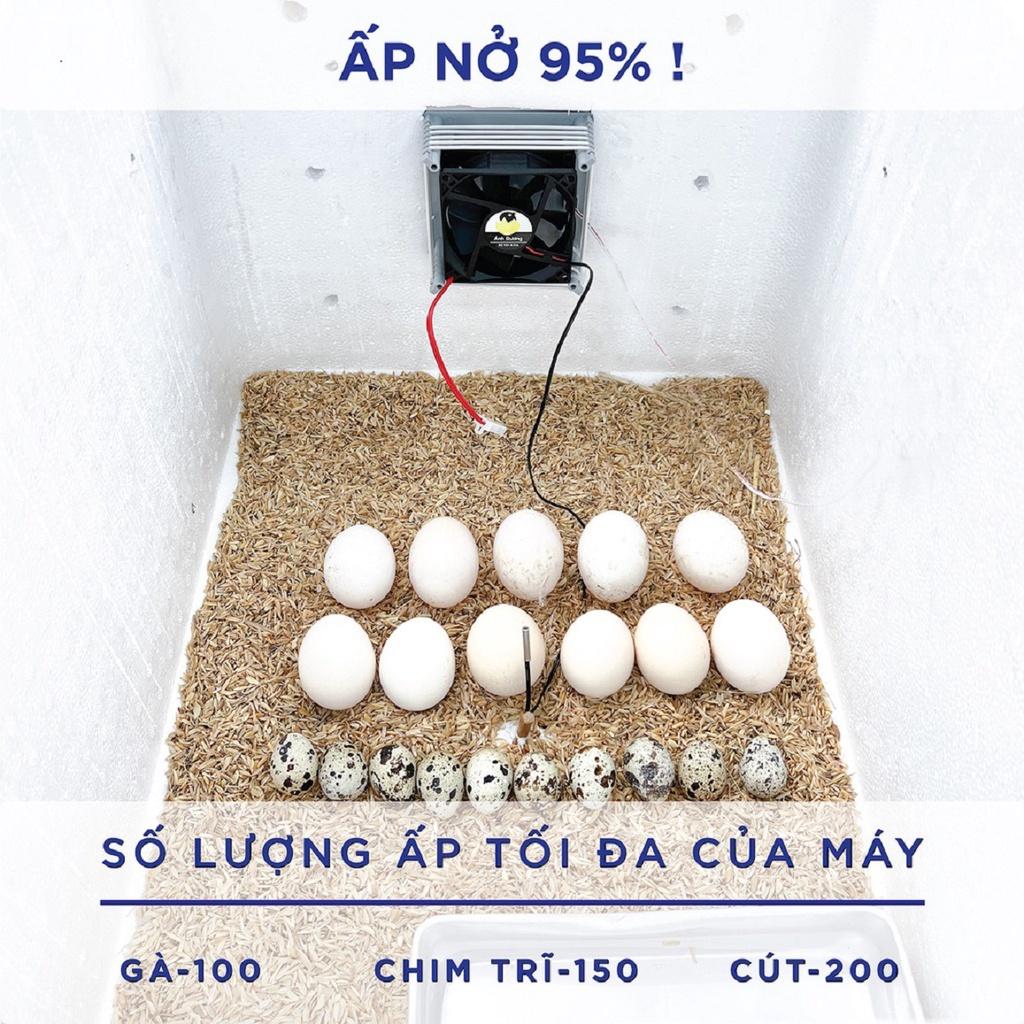 Máy ấp trứng nở gia cầm ngỗng ngan gà vịt úm