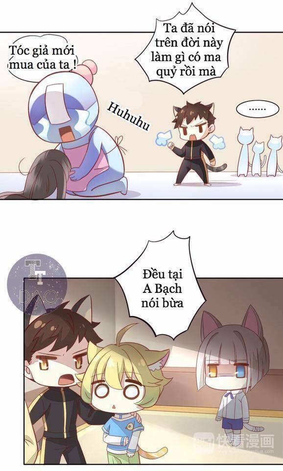 dưới móng vuốt mèo chapter 4 31