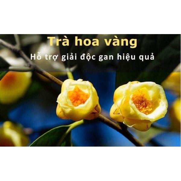 2 cây trà hoa vàng ươm trong bầu đất
