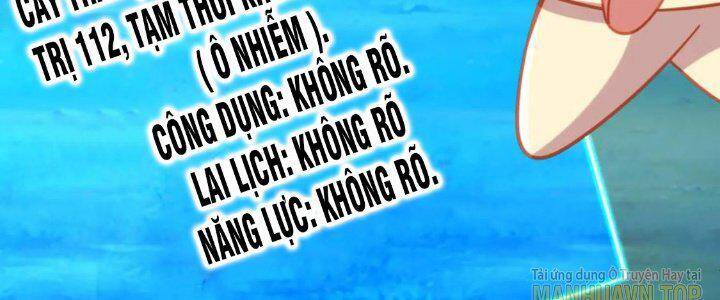 bắt đầu quật khởi từ làm lô đỉnh chapter 71.2 23