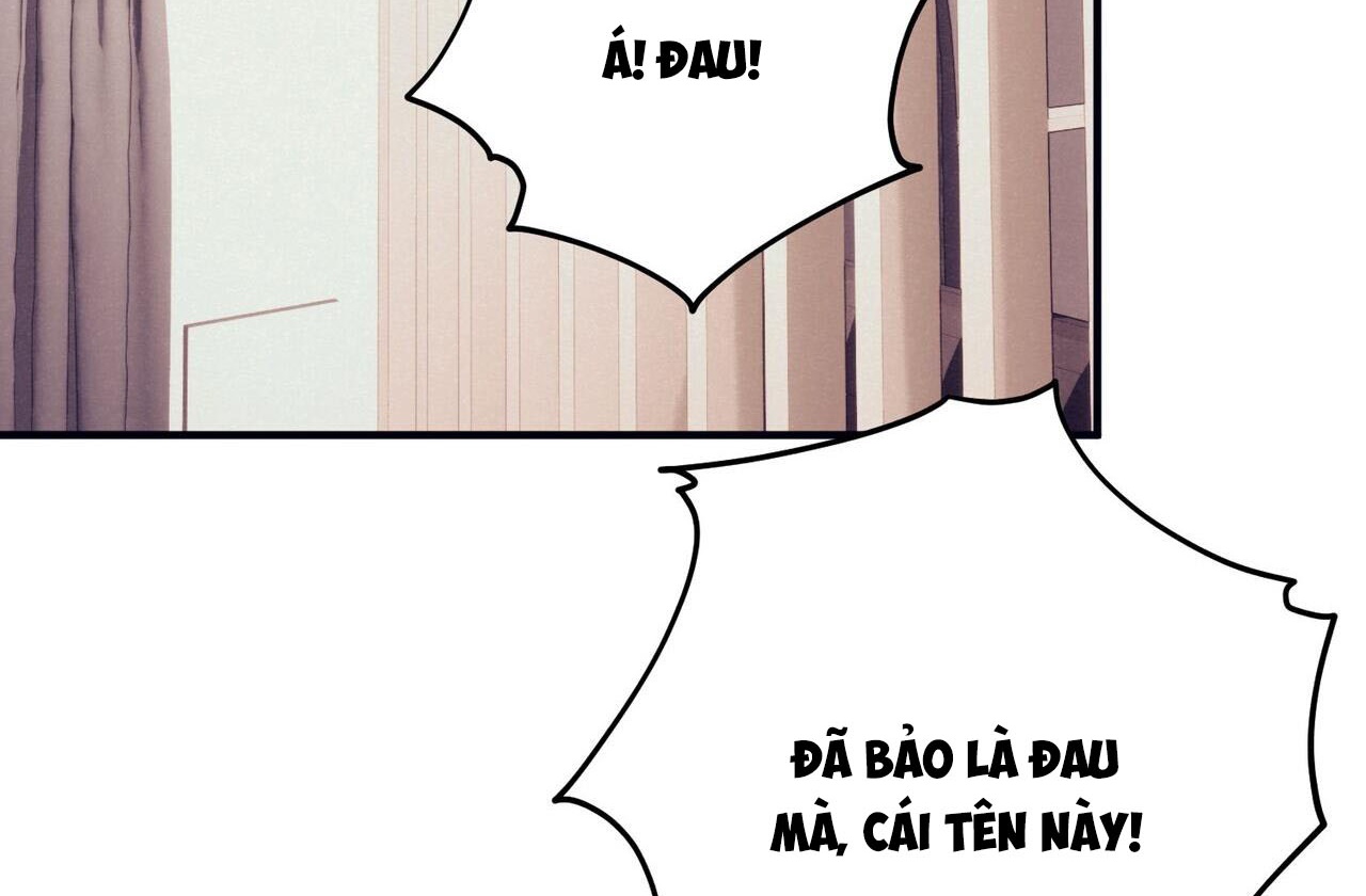 chàng dâu nhà họ kang chapter 42 24