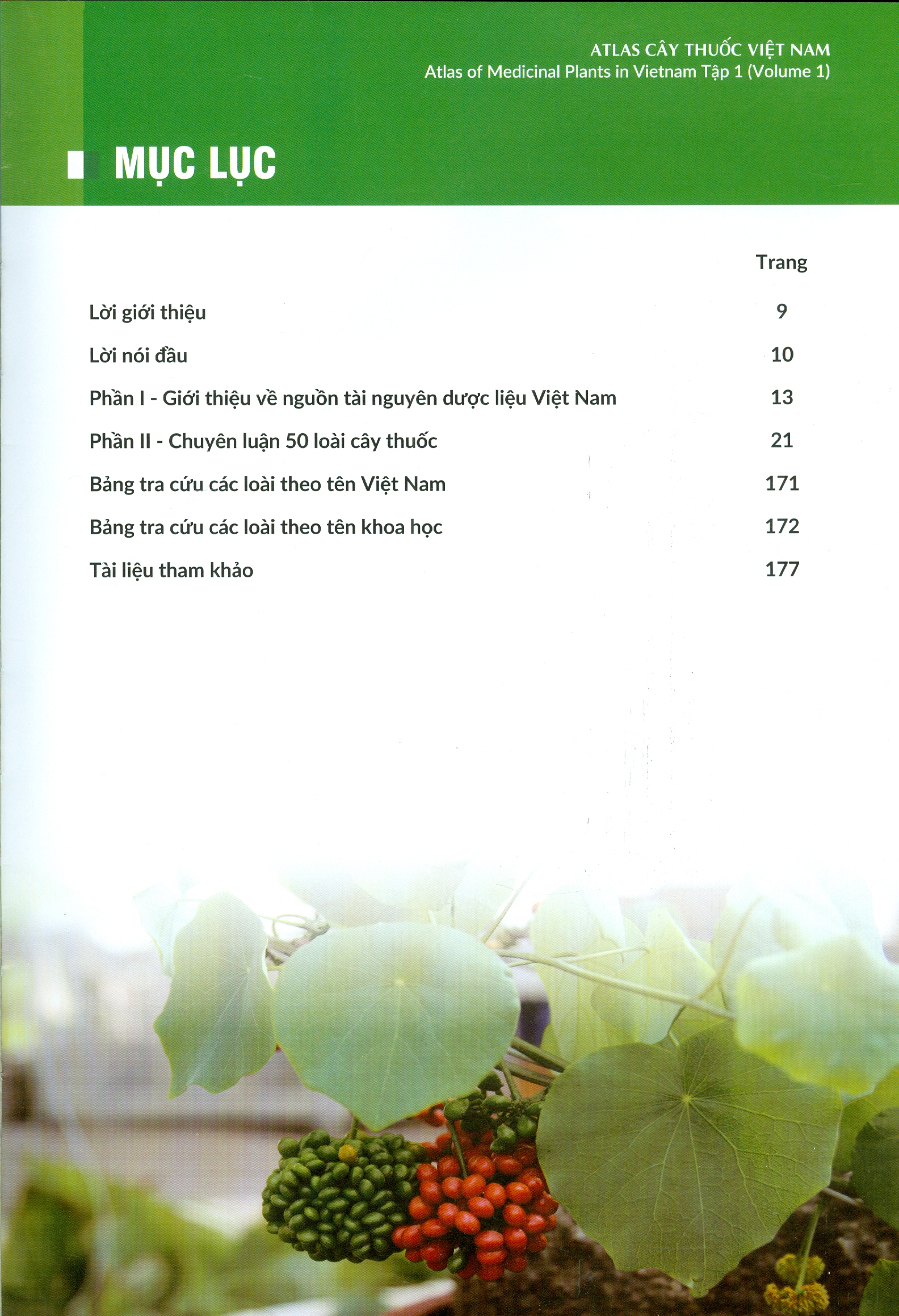 ATLAS CÂY THUỐC VIỆT NAM , TẬP 1 (Atlas Of Medicinal Plants In Vietnam, Volume 1) - Bìa cứng
