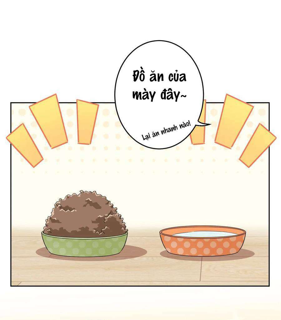 ông trời đã ban cho tôi siêu năng lực kỳ lạ gì thế này? chapter 8 8