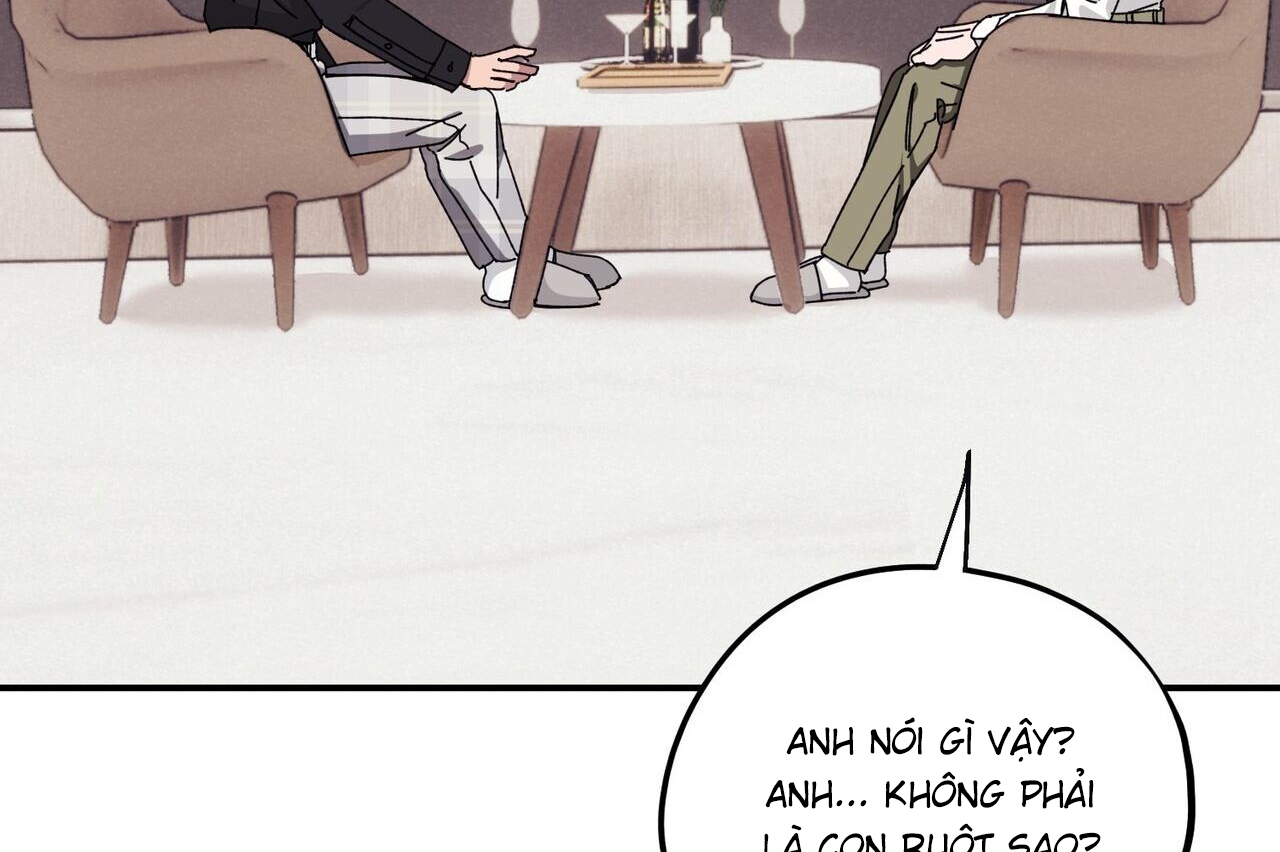 chàng dâu nhà họ kang chapter 33 53