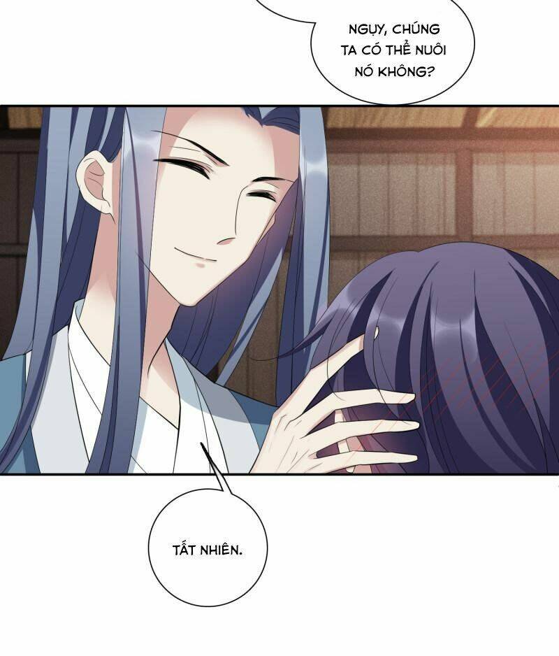 toàn cơ từ chapter 61.1 19