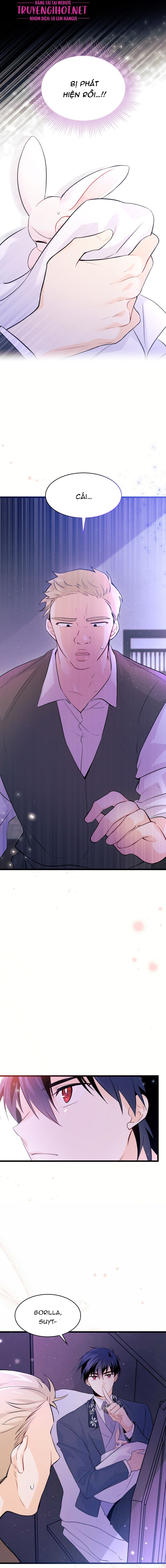 mối liên kết giữa báo đen và bé thỏ chapter 36.2 4