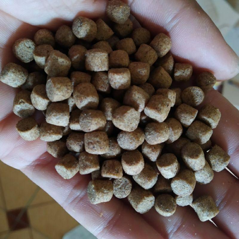 1kg cám koi King feed 42% đạm