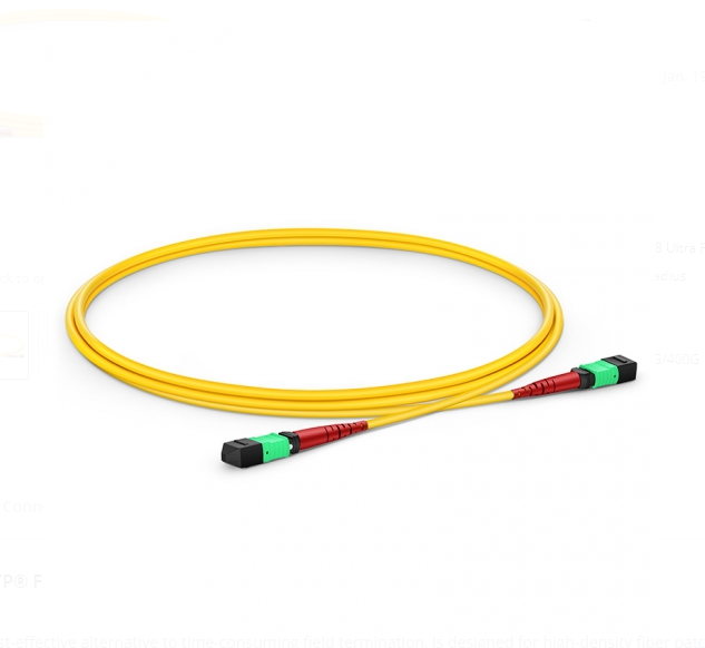 Dây nhảy quang MTP to MTP Female, OS2 Type A, 24 Fibers Elite Trunk Cable Bunch - Xmethod Network - Hàng chính hãng