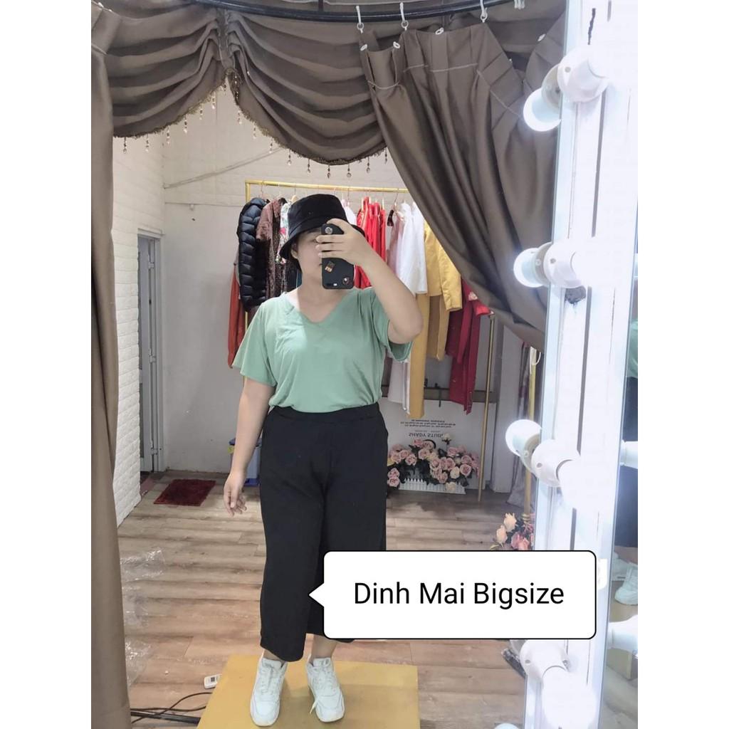Áo cổ tim bigsize form thường bảng màu siu ngọt