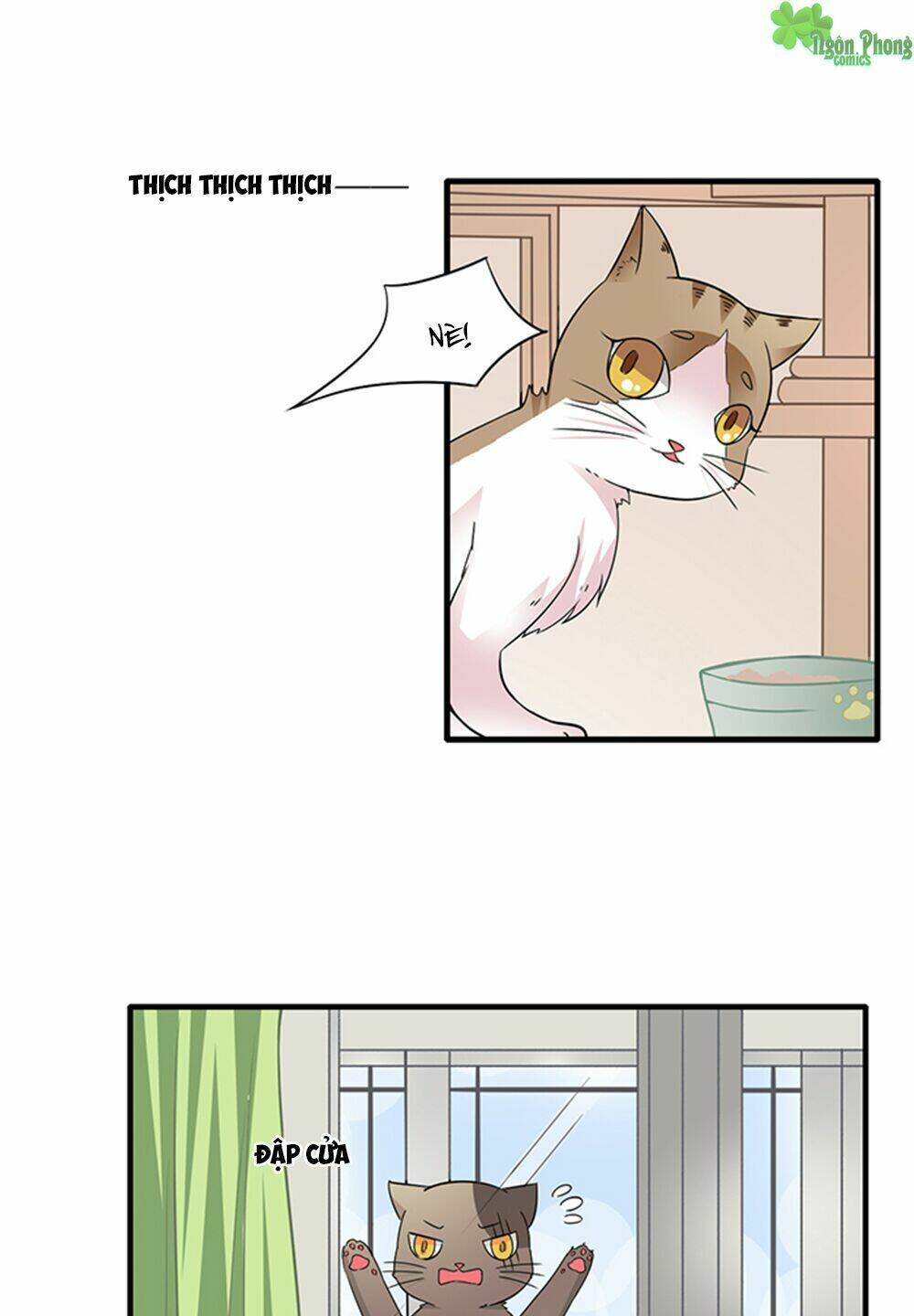 hai chú mèo totem chapter 11 4