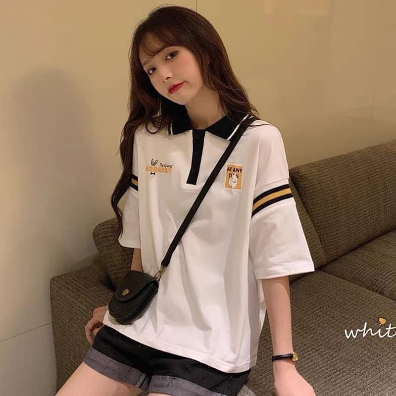Áo Polo Nữ Rabbit Phối Màu Cộc Tay Cổ Bẻ Dáng Rộng