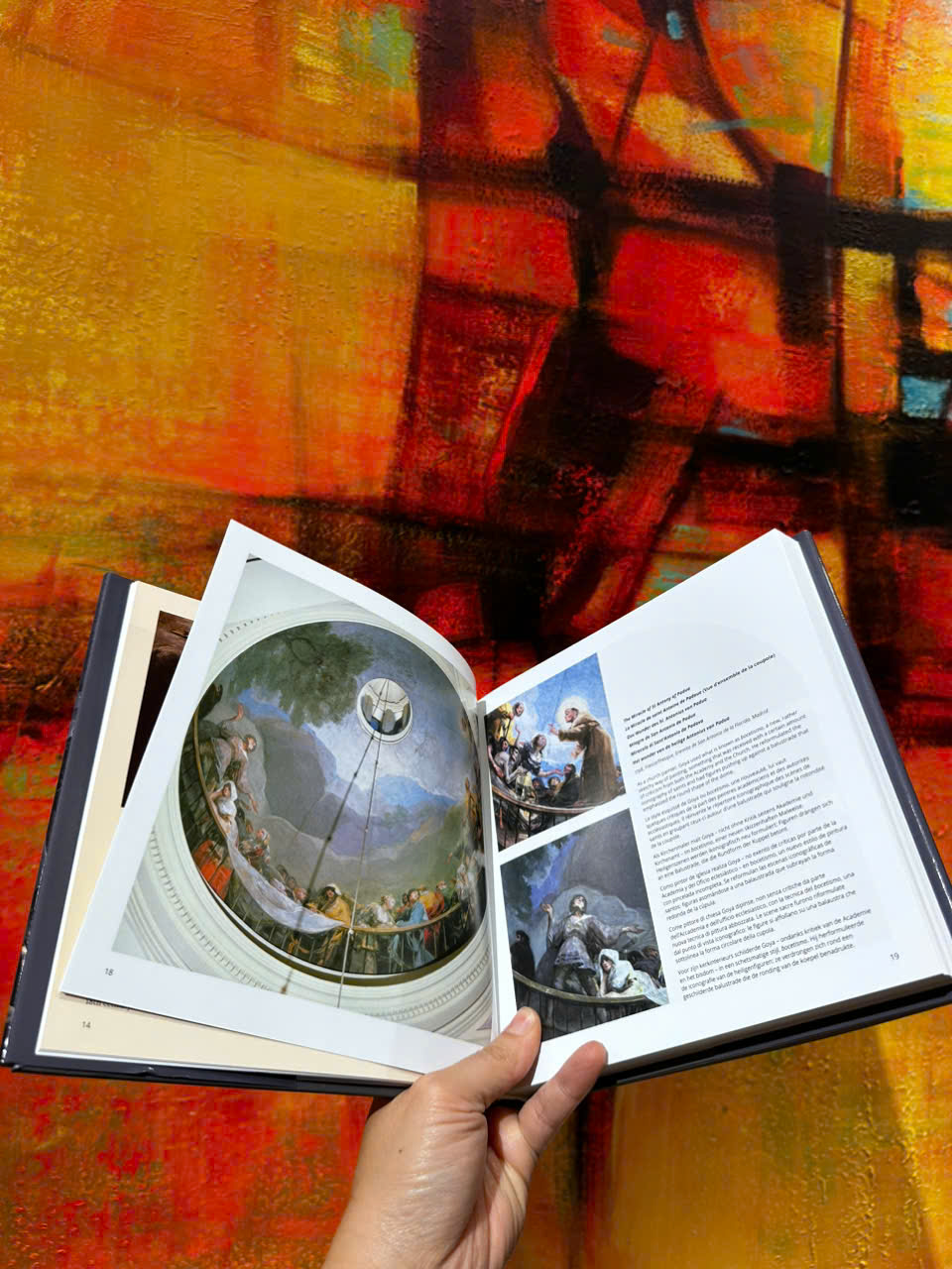 Sách - Goya by Marina Linares - Nghệ thuật tiếng Anh/ Art Book in English