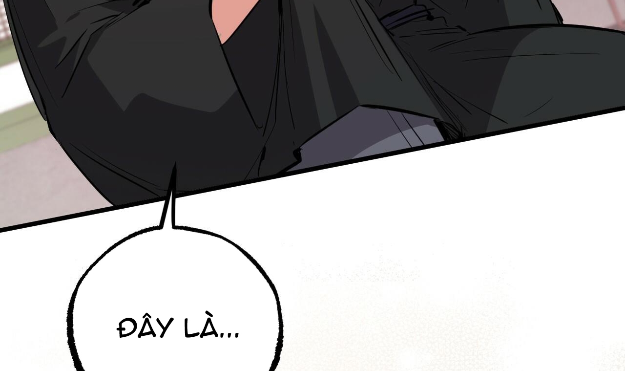 những chú thỏ của hapypy chapter 49 203