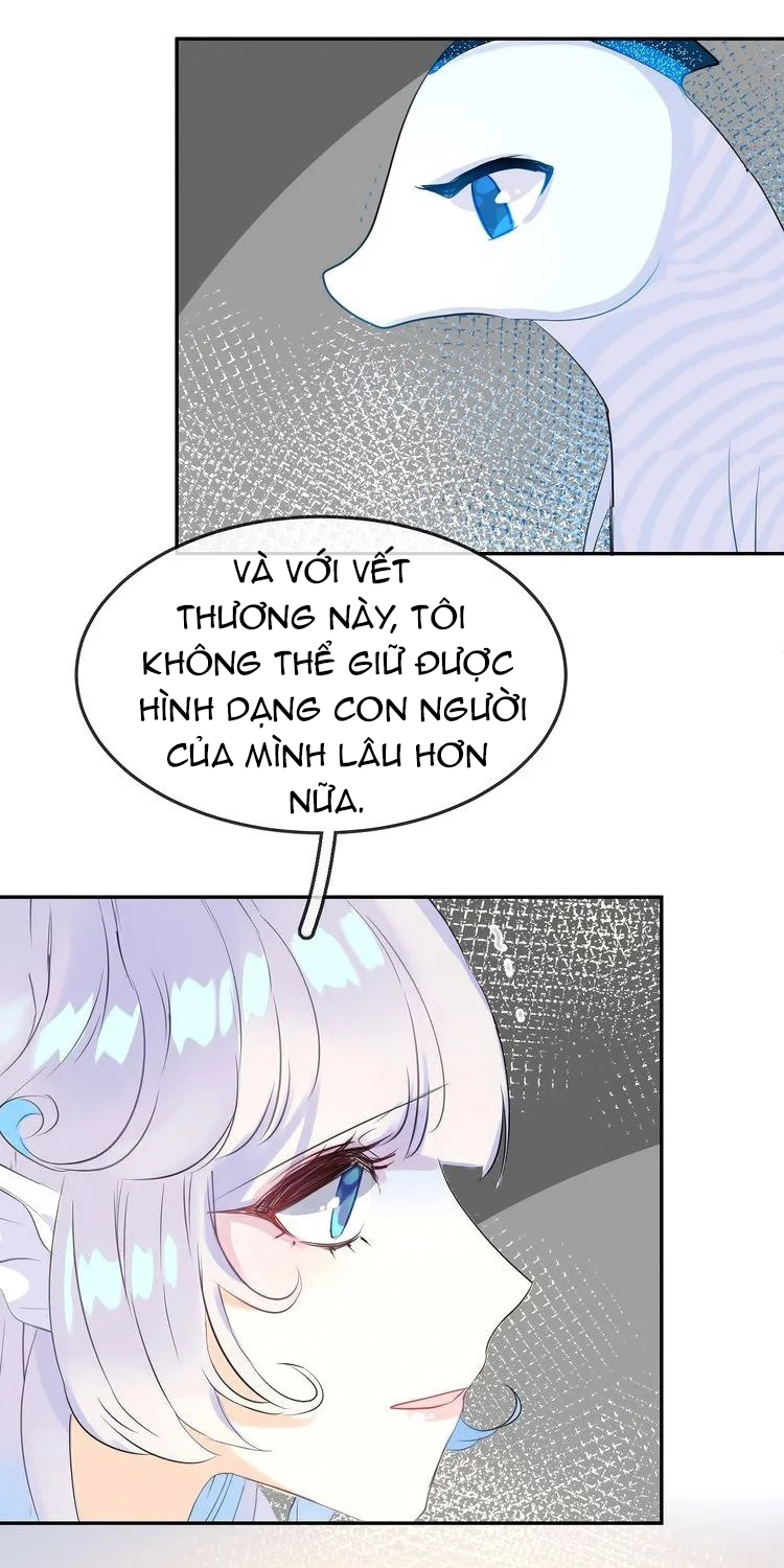 Bộ Váy Của Nàng Tiên Cá Chapter 13 - Trang 2