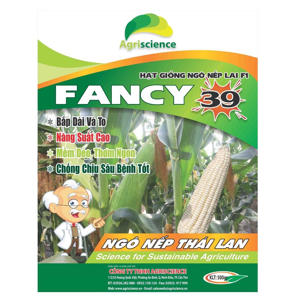 Hạt Giống Ngô Nếp Thái Lan - Fancy 39