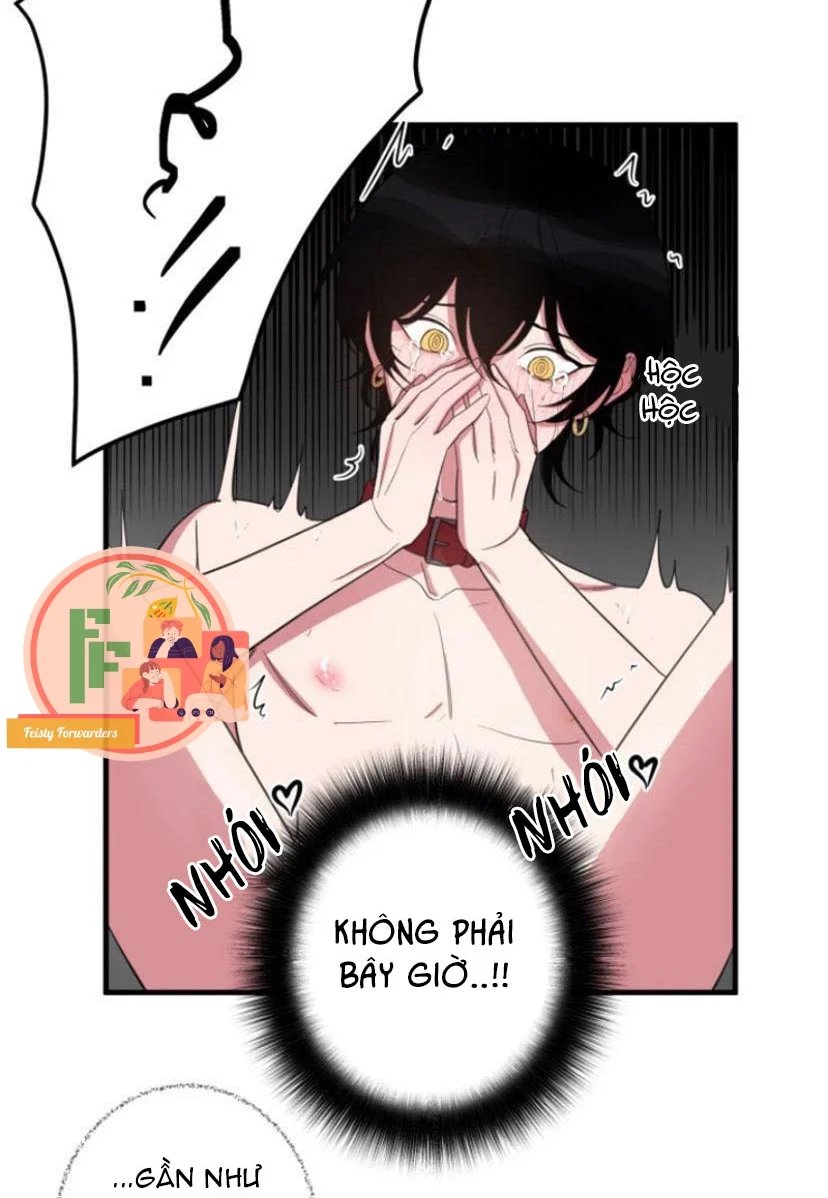 người tình dâm đãng của tôi chapter 10 31