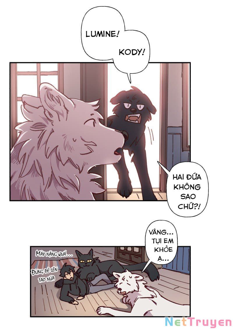 lumine - cội nguồn ánh sáng chapter 83 12