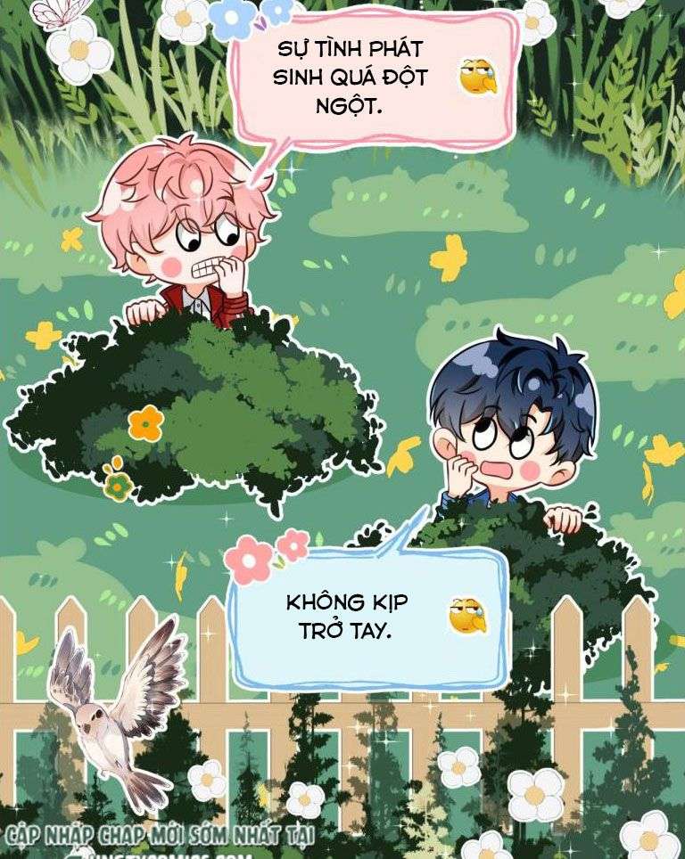 tín tức tố nói chúng ta không thể chapter 42 4