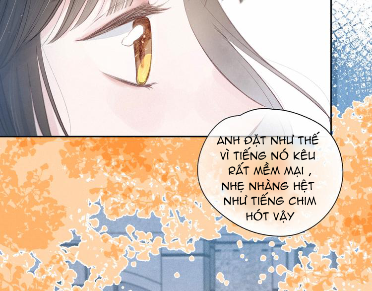 nỗi buồn của hoa cẩm tú cầu chapter 51 43