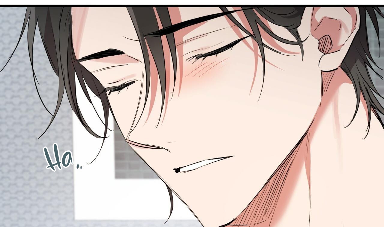 đàn thỏ của habibi chapter 39 38