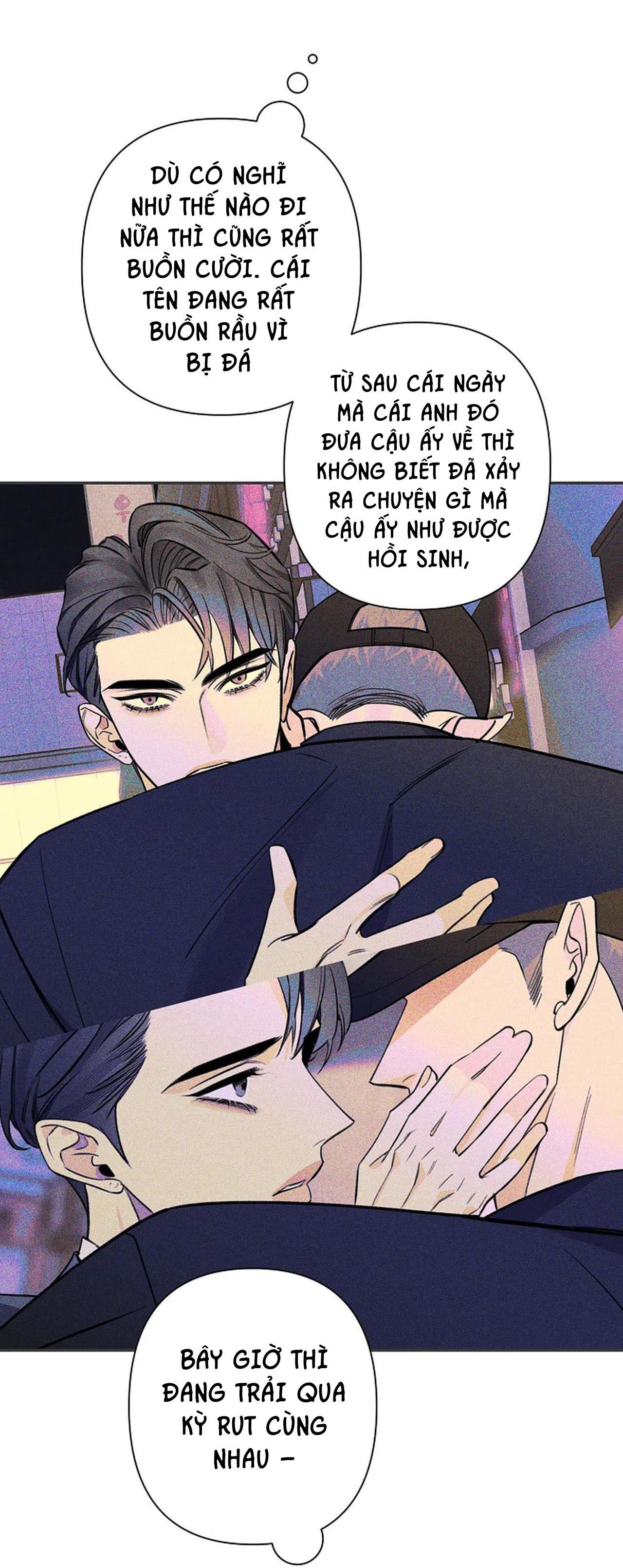 đêm dịu dàng chapter 52 13