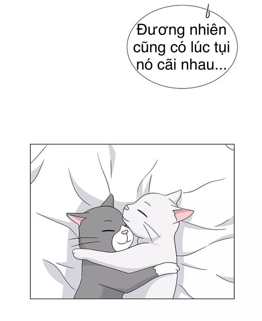 idol và sếp, em yêu ai? chapter 117 25