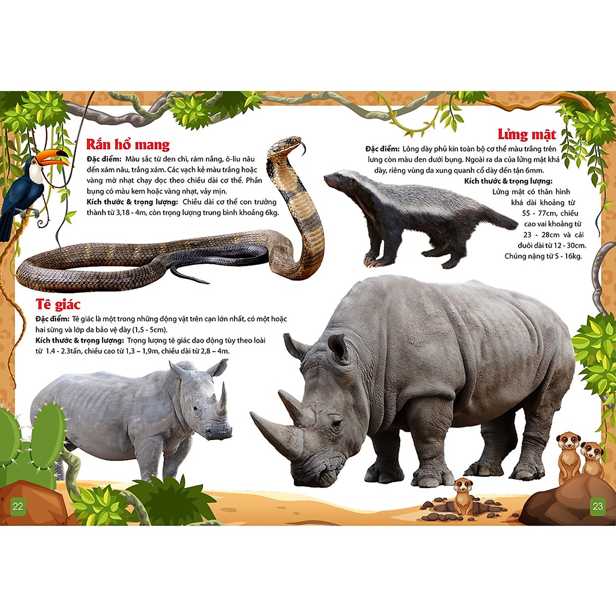 Sách - Khám Phá Động Vật 5 Châu - Châu Phi