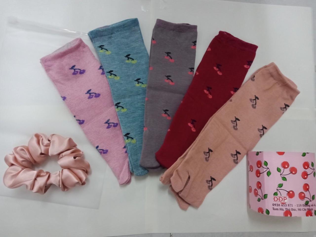 Combo 5 đôi vớ vớ nữ xỏ ngón màu ngẫu nhiên  ,tặng đồ cột tóc