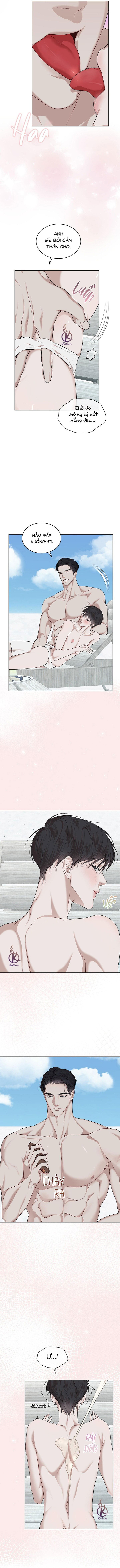 hình thái khởi sinh chapter 81 9