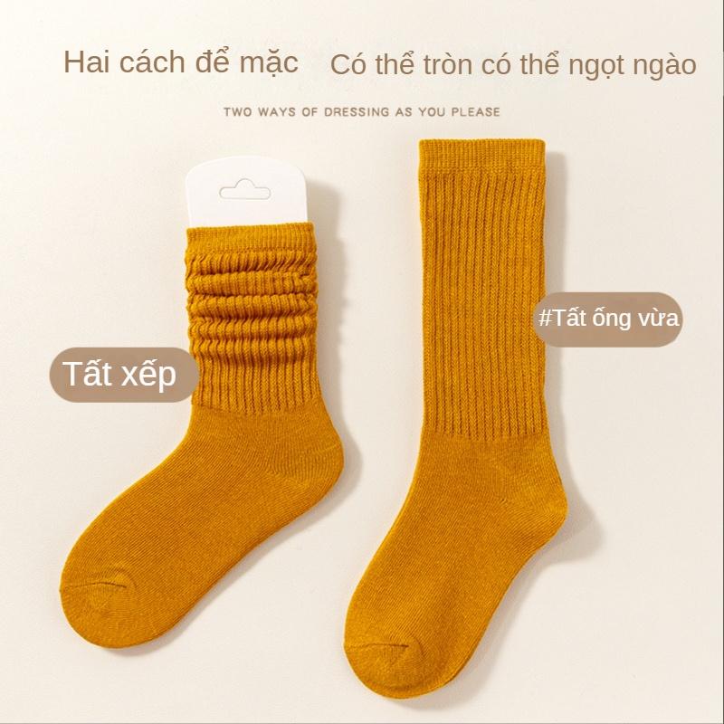 Set 5 Đôi Vớ Cotton Màu Sắc Kẹo Ngọt Thời Trang Xuân Thu Cho Bé