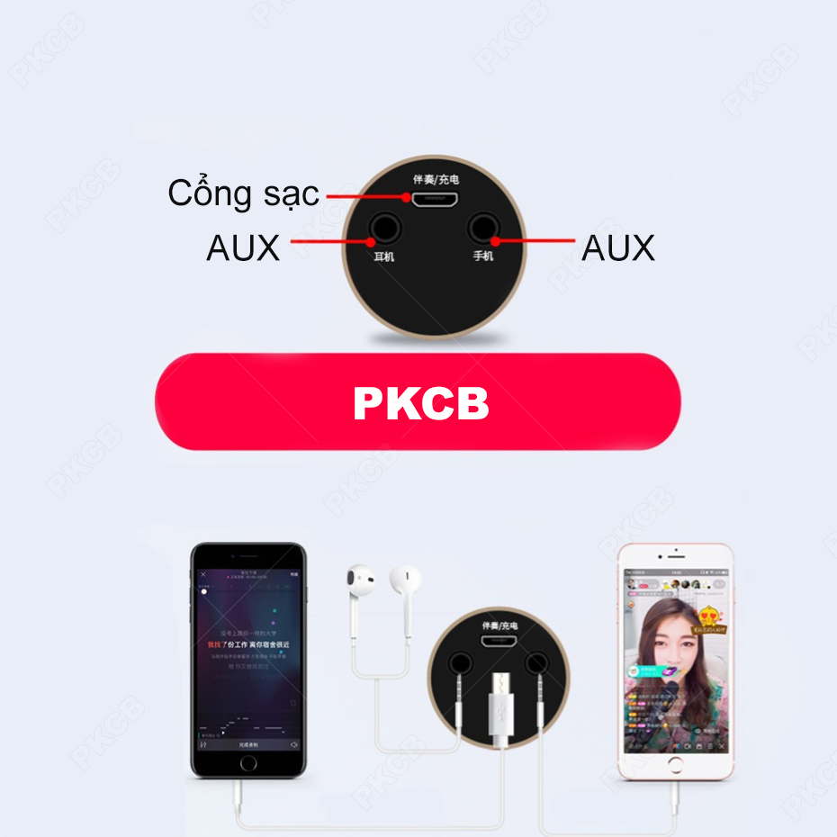 Micro Bluetooth Không Dây KTV Live Stream Cực Hot Hiện Nay PKCB S6 Bạc - Hàng Chính Hãng