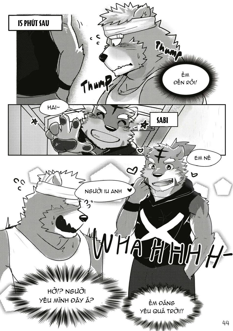 TUYỂN TẬP CU 18CM Chapter 73 Bộ 13 17