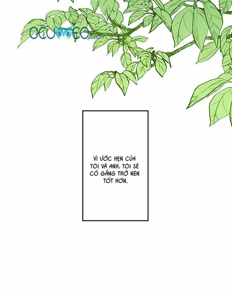 bài ca tình yêu chapter 8 45