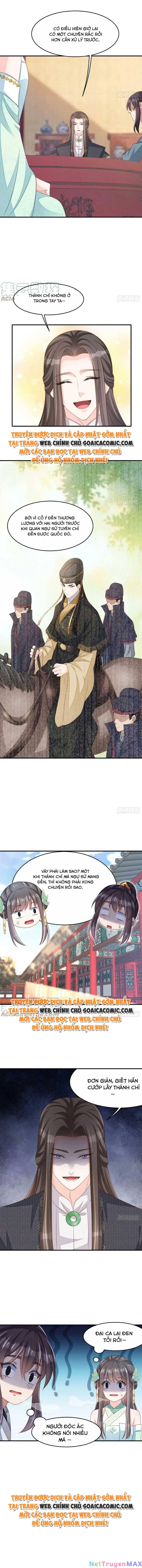 thuần hóa ba ba bạo quân chapter 65 7