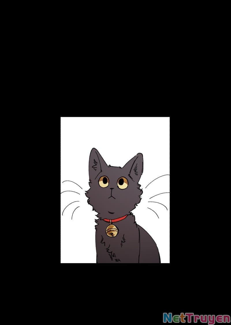 lumine - cội nguồn ánh sáng chapter 95 18