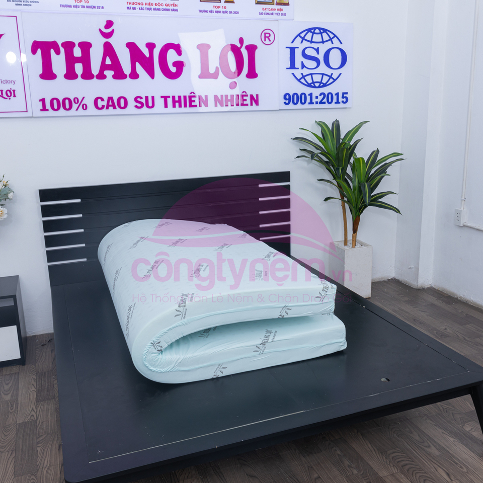 Nệm cao su hoạt tính TL Tundo