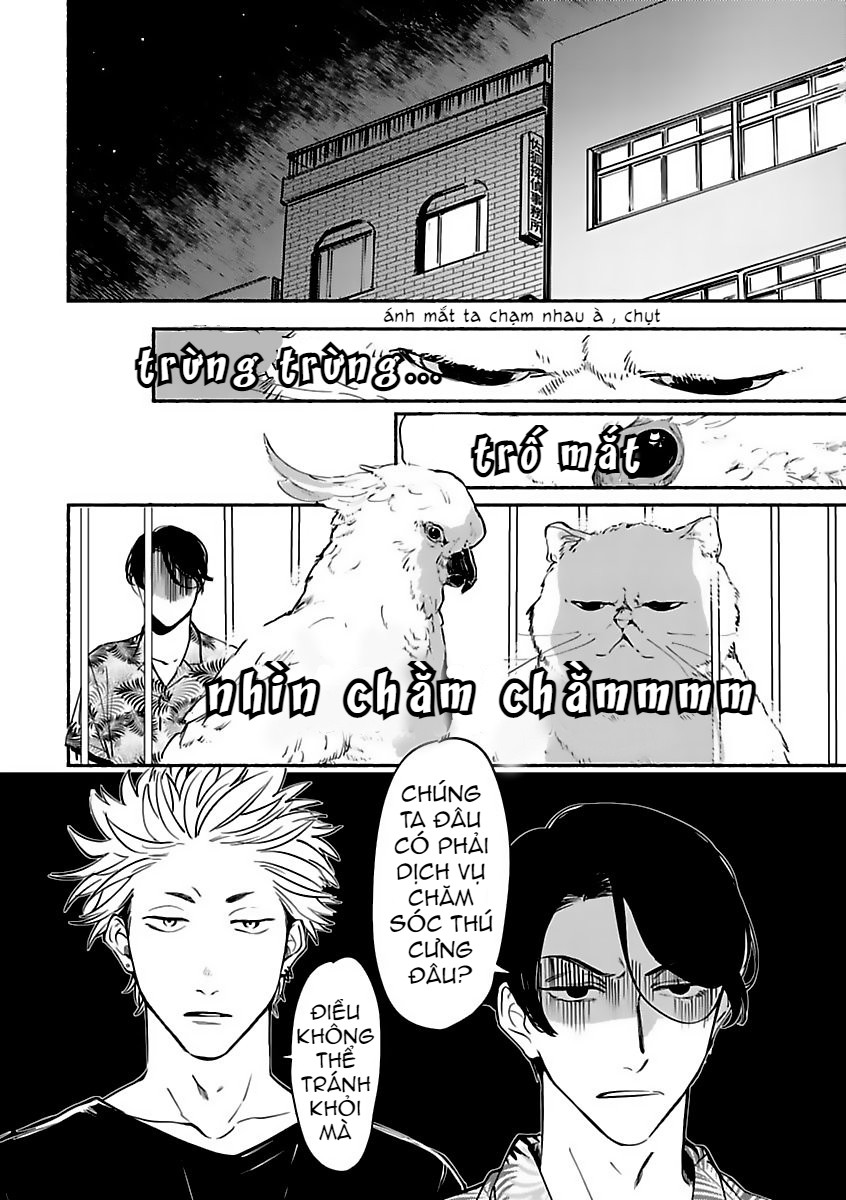 ông chủ của văn phòng thám tử (thú cưng) chapter 2 22