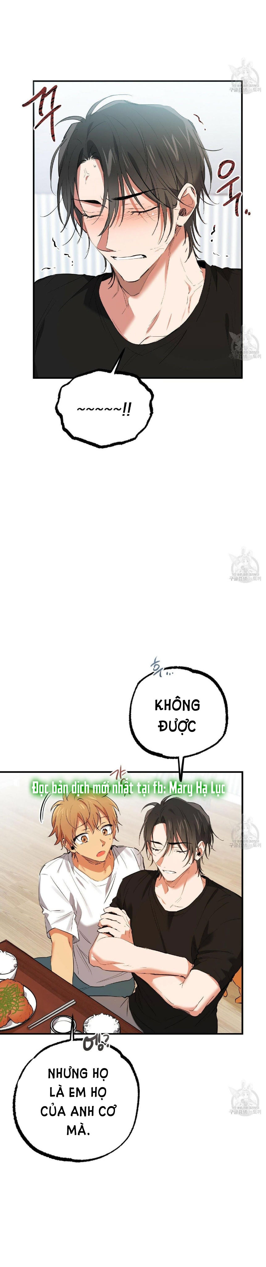 những chú thỏ của hapypy chapter 51.2 11