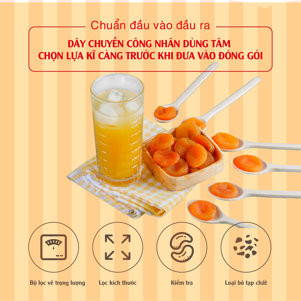 Mơ Khô Tự Nhiên Nhập Khẩu Thổ Nhĩ Kỳ - Dried Apricots 380gram