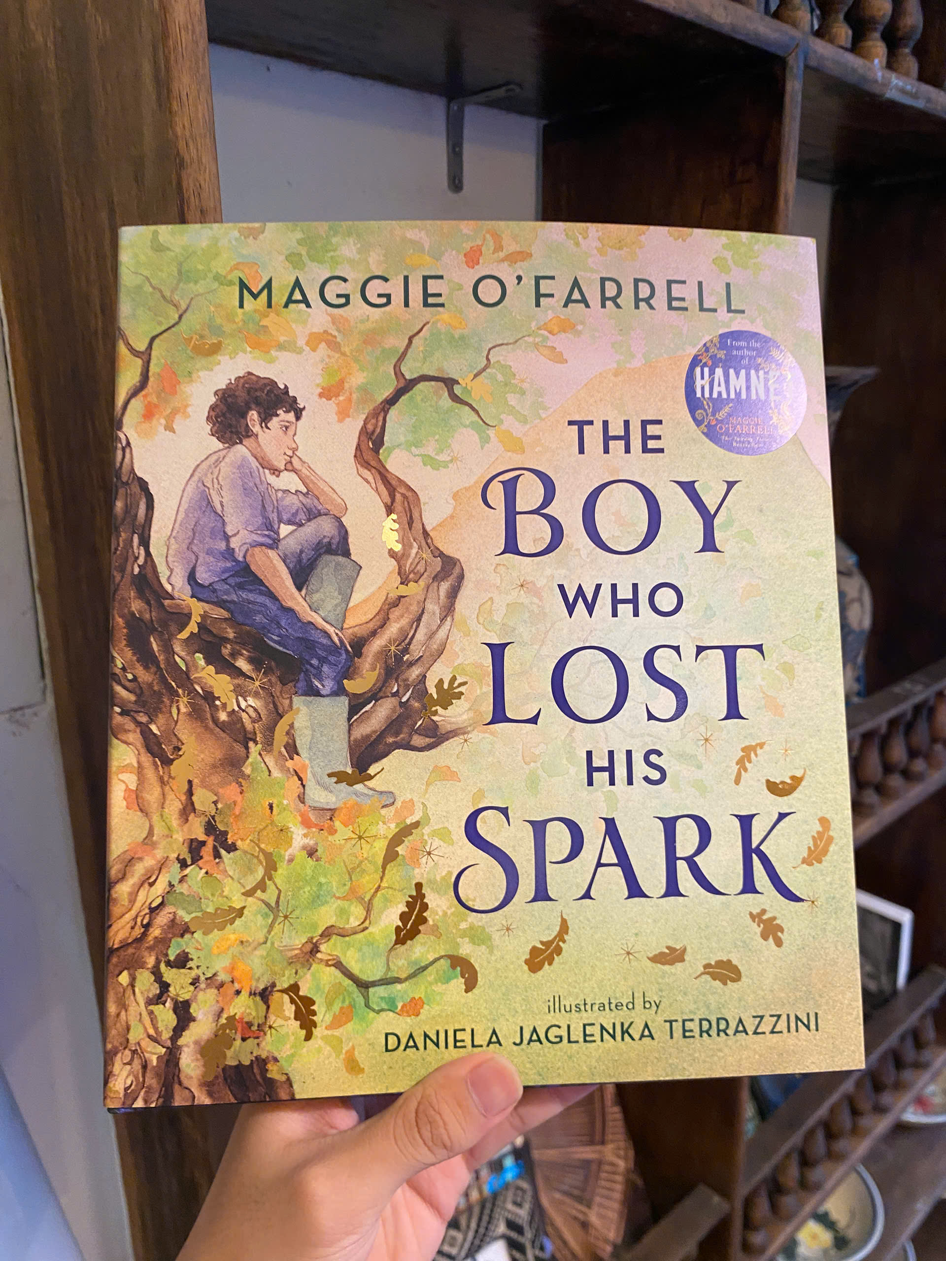 Sách - The Boy Who Lost His Spark by Maggie O'Farrell | English Book for Children / Ngoại văn