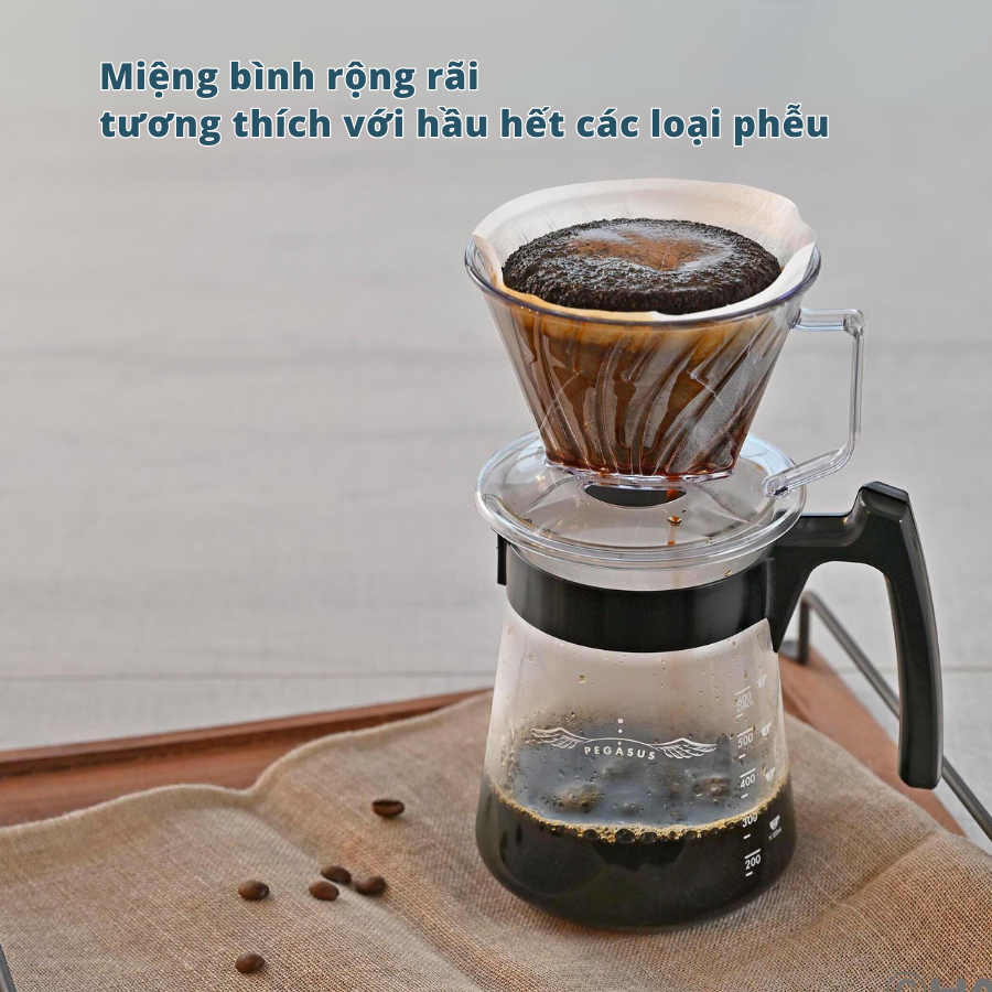 Bình server đựng cà phê Hario Pegasus PED-02-B 600ml size 02