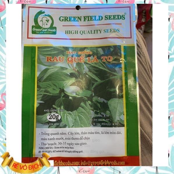 Shop Midori_Hạt giống rau húng quế lá to