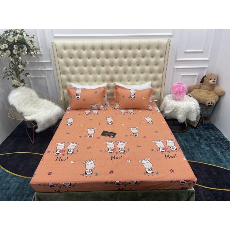 Bộ Ga Gối Cotton, Ga Chun Trần Bông Đủ Kích Thước Nệm Bọc Được Đệm 10p Ga Phân Phối Độc Quyền