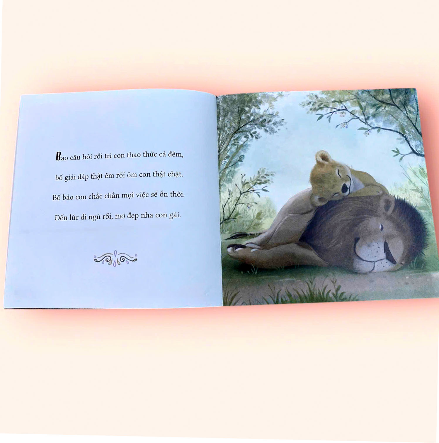 Sách cho bé - Vì Sao Con Gái Cần Bố - Tác giả Gregory E. Lang - Sách tranh