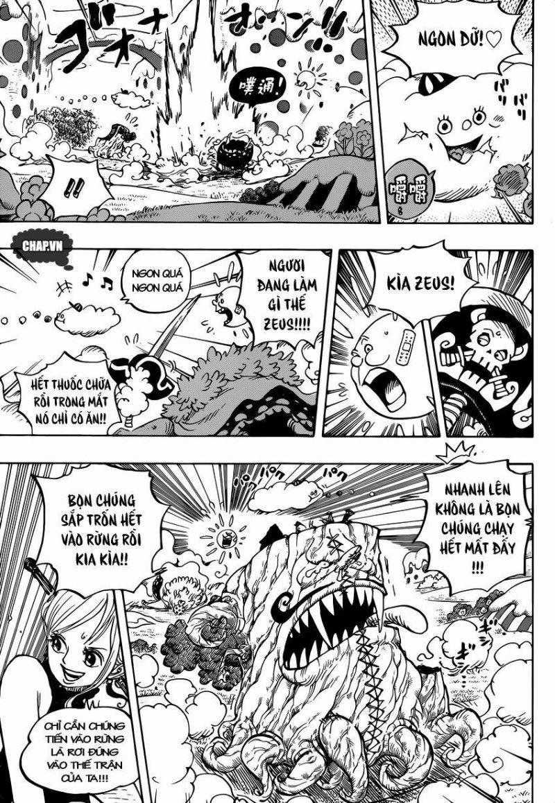 đảo hải tặc - one piece chapter 874 6