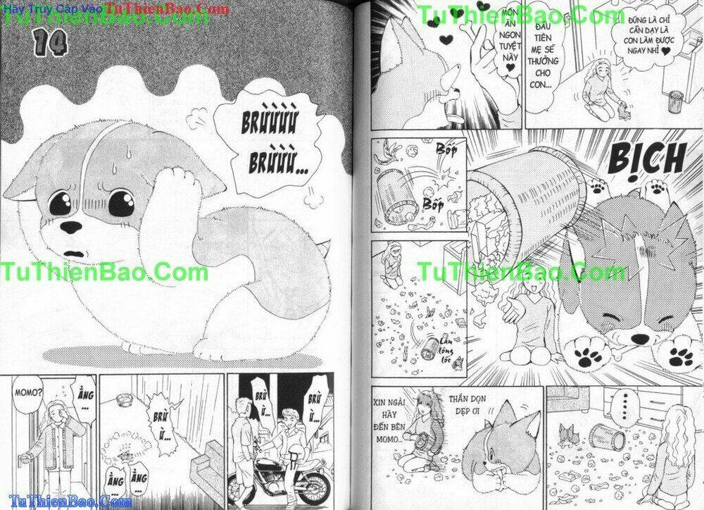 chó con mo mo chapter 3 47