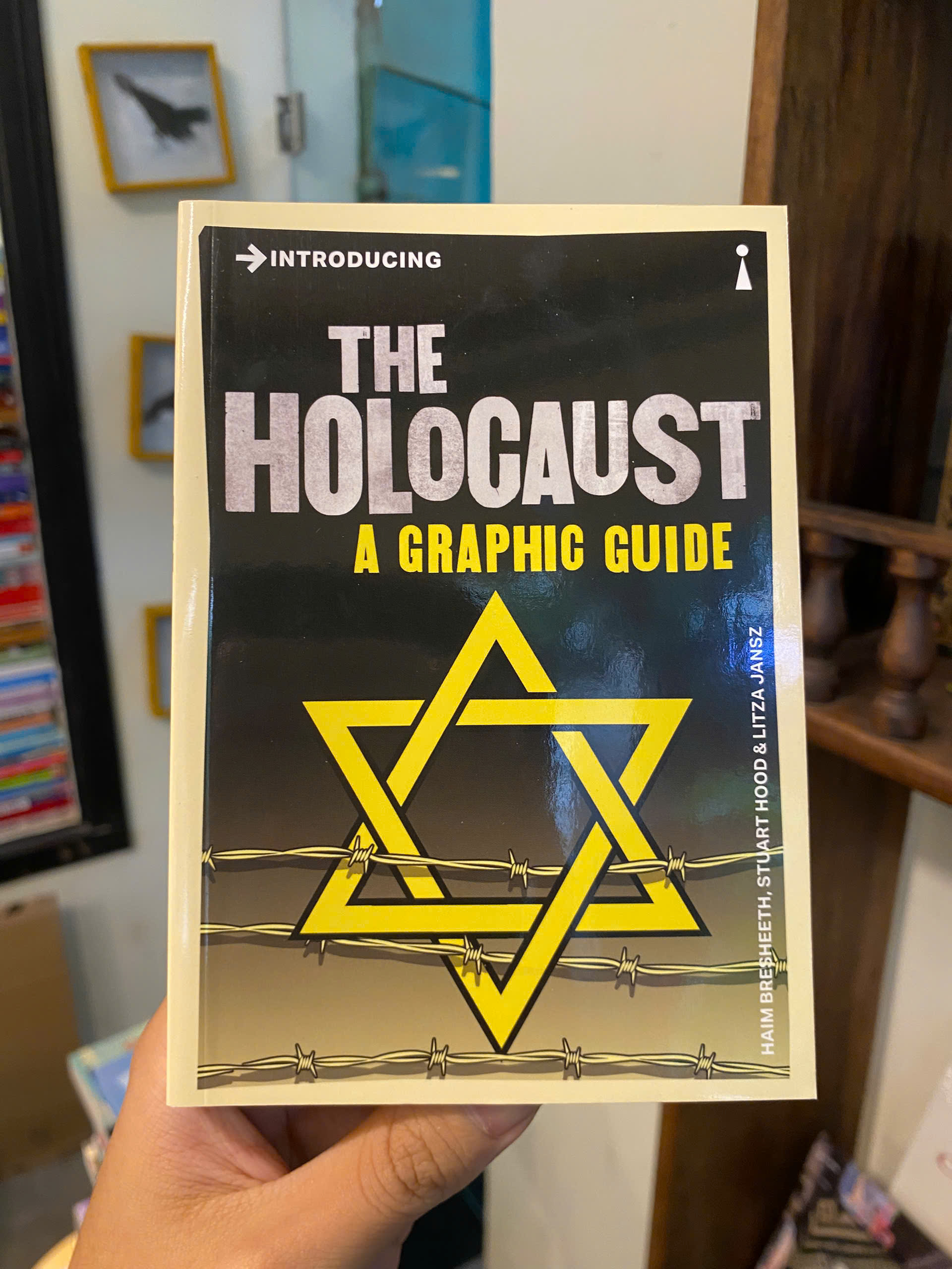 Sách - Introducing The Holocaust: A Graphic Guide by Haim Bresheeth | History Nonfiction